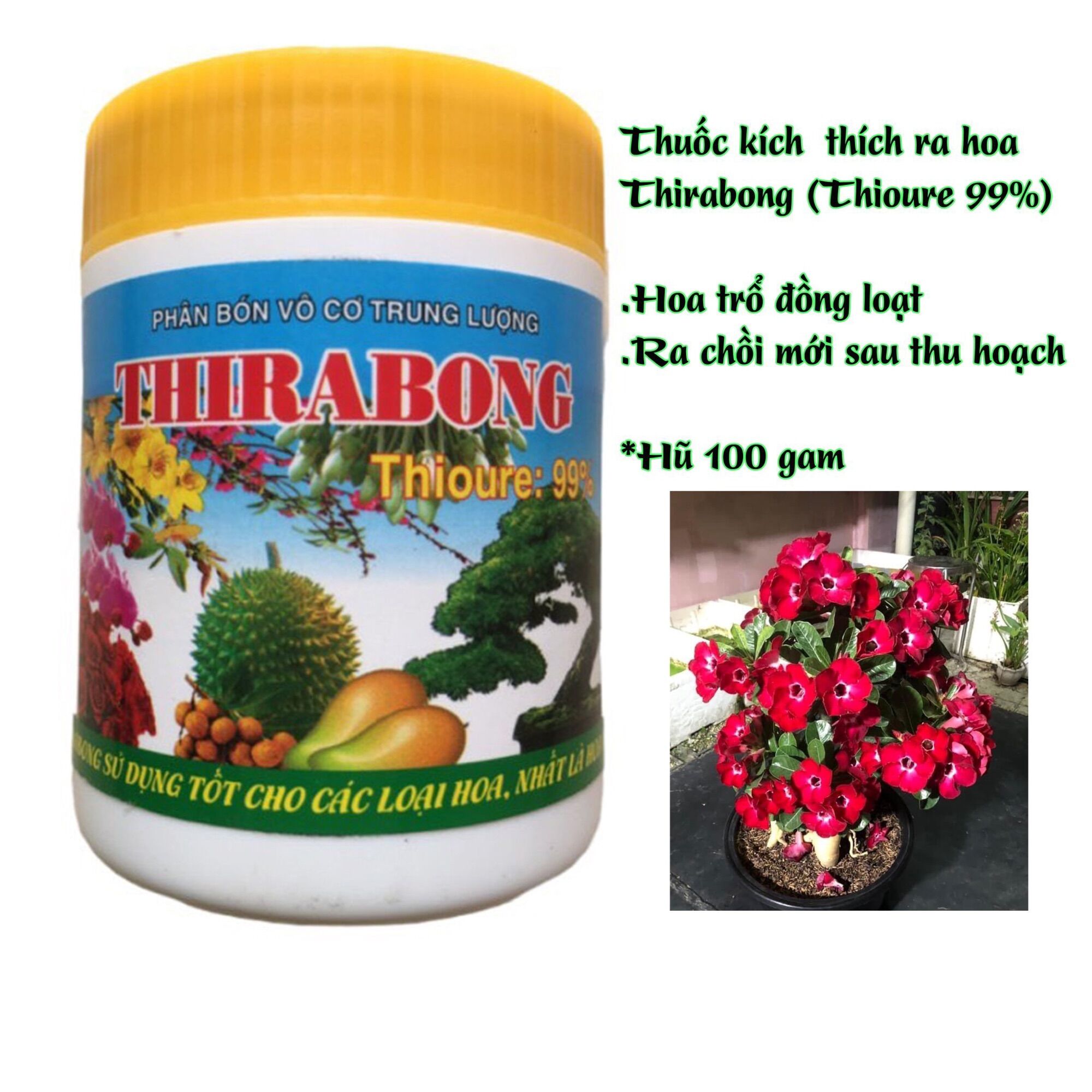 Phân bón kích thích ra hoa cực mạnh thirabong hũ 100g