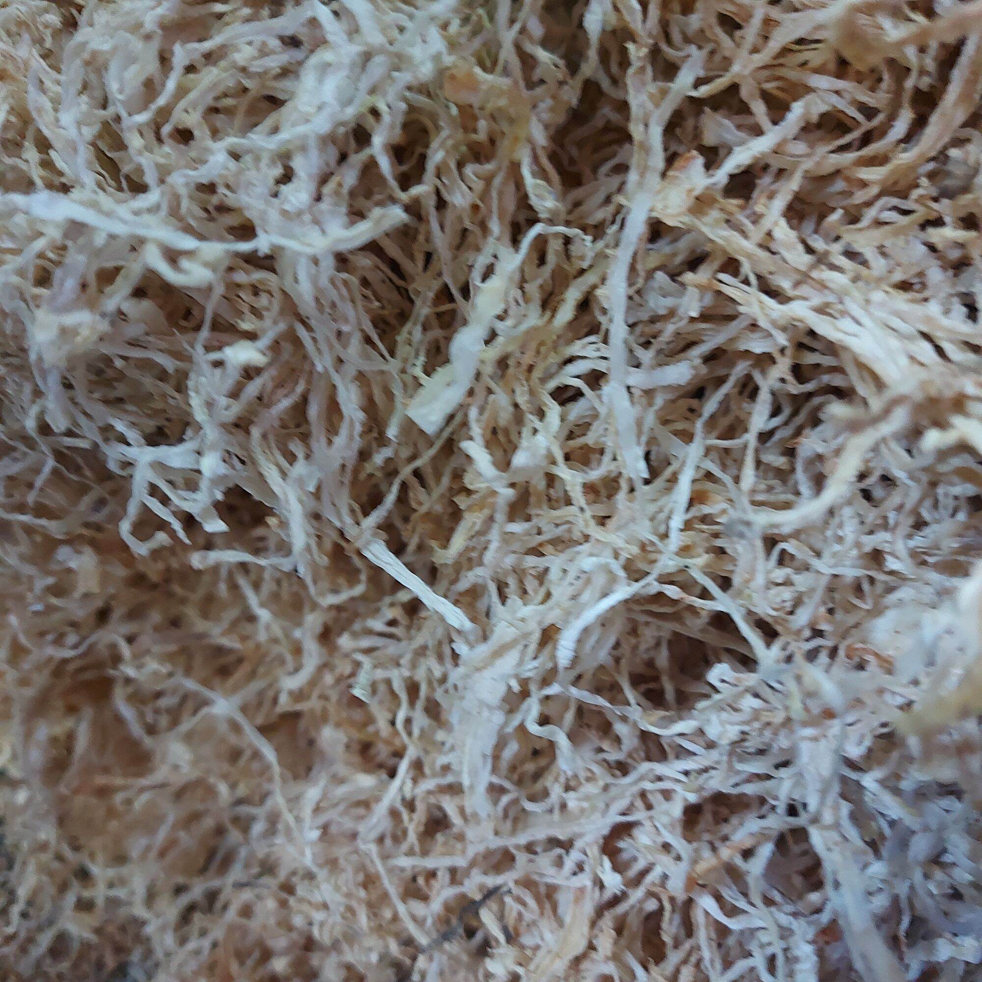 1kg Củ Cải Khô Sợi Nhỏ Hàng Sạch.