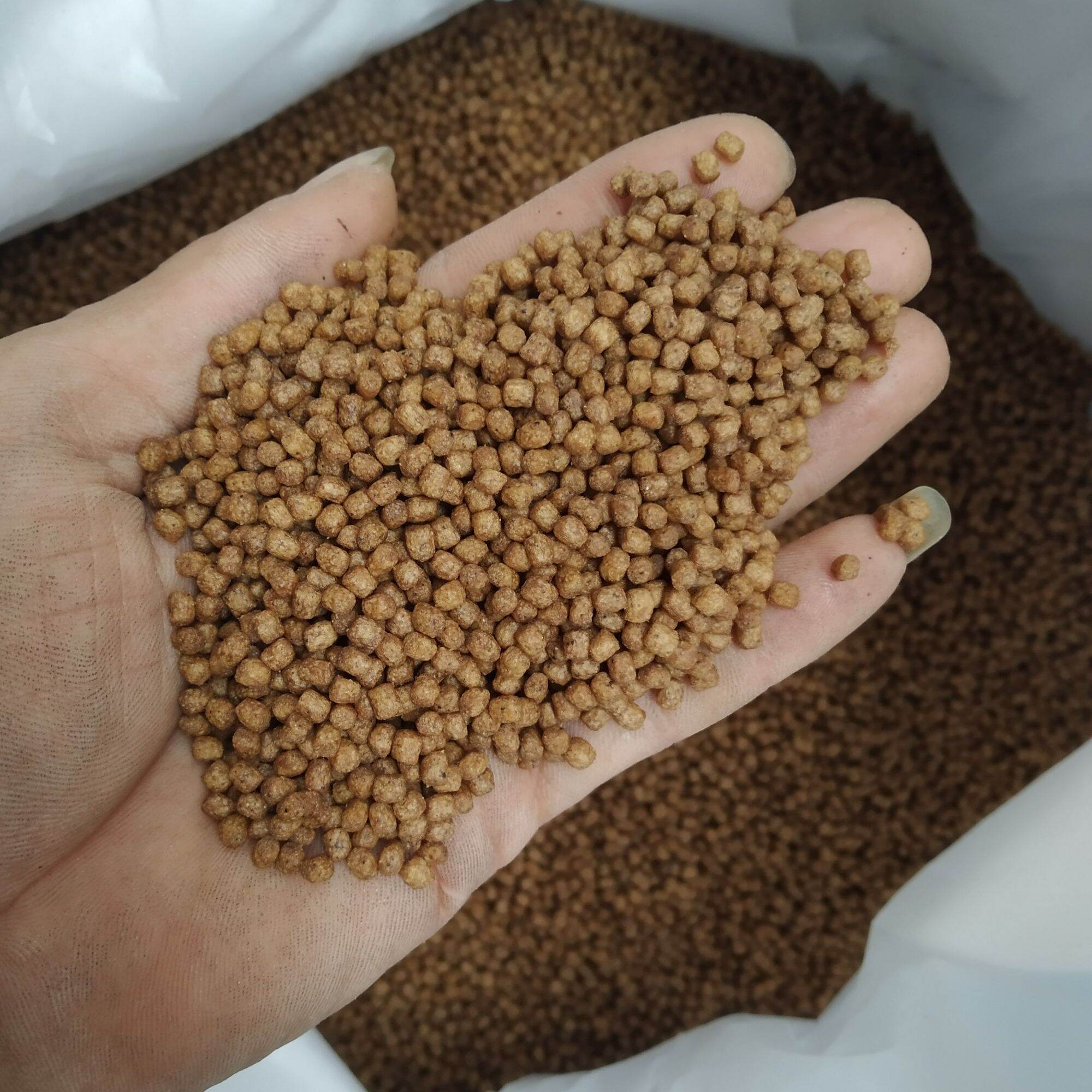 1kg Thức ăn cá koi Kingfeed 42% protein, lên màu, lên size nhanh