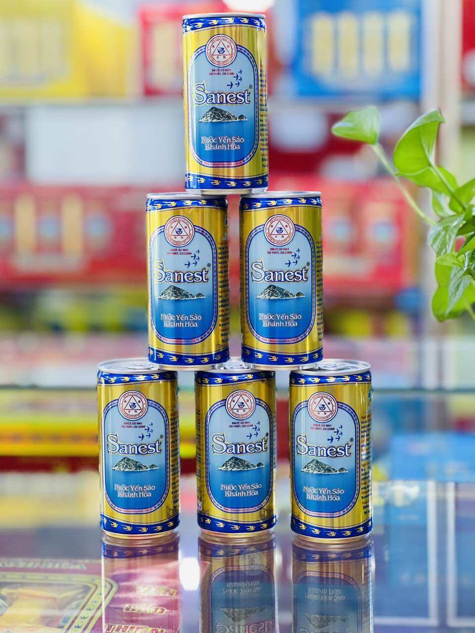 Nước yến sào khánh hòa sanest lon 190ml