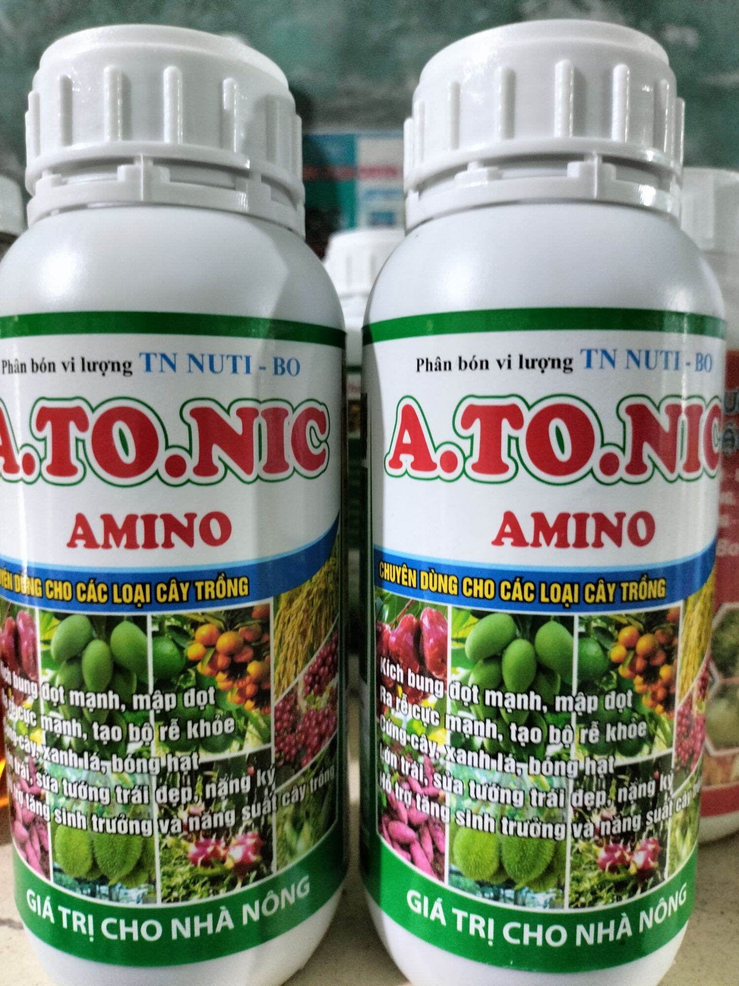 ATONIC AMINO PHÂN BÓN LÁ KÍCH RỄ BUNG ĐỌT MẬP ĐỌT VỌT ĐỌT XANH LÁ DẦY LÁ MƯỚT LÁ MẬP THÂN MẬP CÀNH XANH CÂY MƯỚT LÁ TO TRÁI