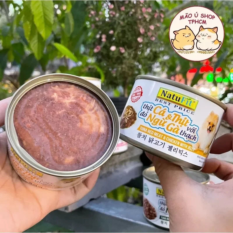 [COMBO 12 - 48 LON 160G] PATE NATUFIT CHO CẢ CHÓ VÀ MÈO