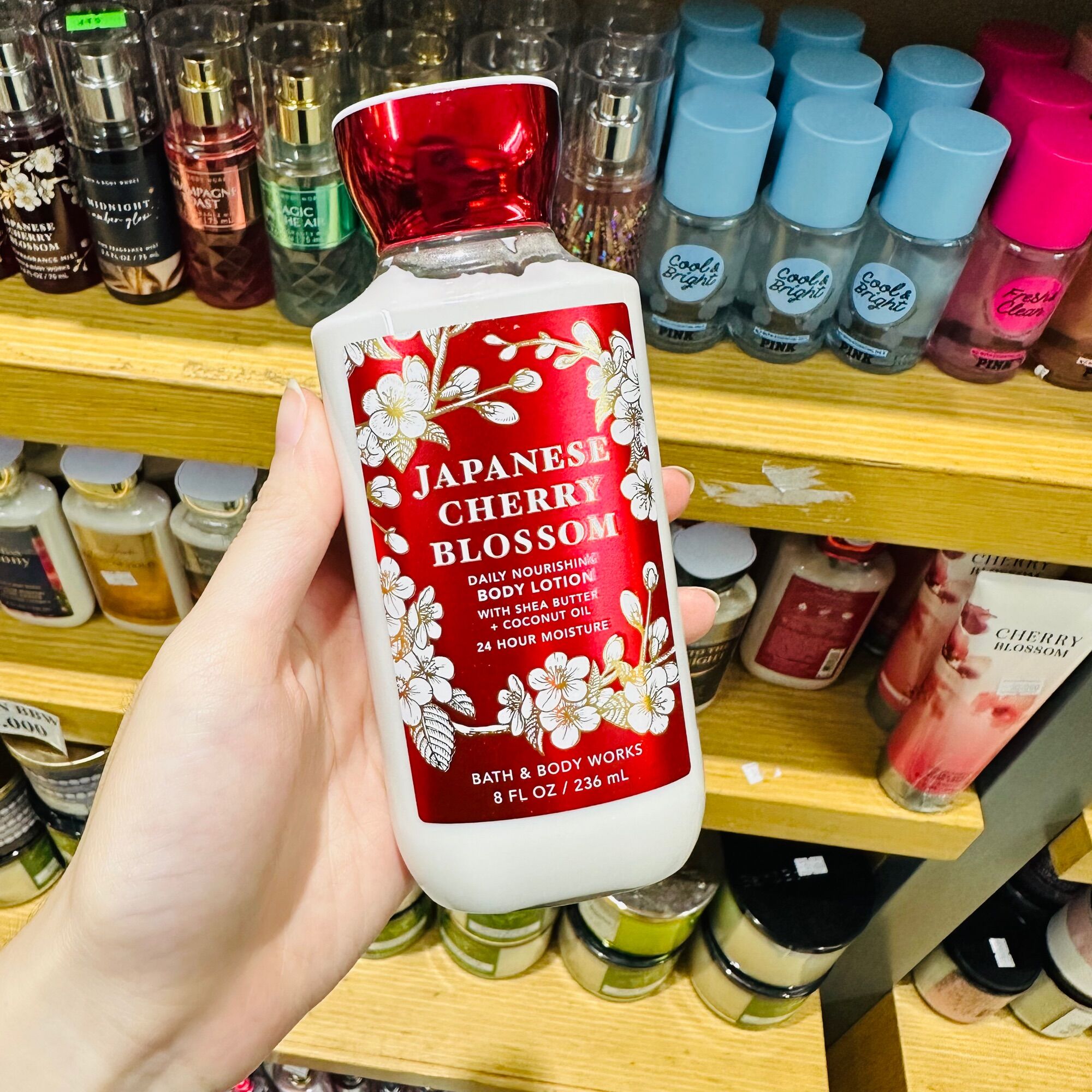 Sữa Dưỡng Thể Bath & Body Works Body Lotion JAPANESE CHERRY BLOSSOM 236mL
