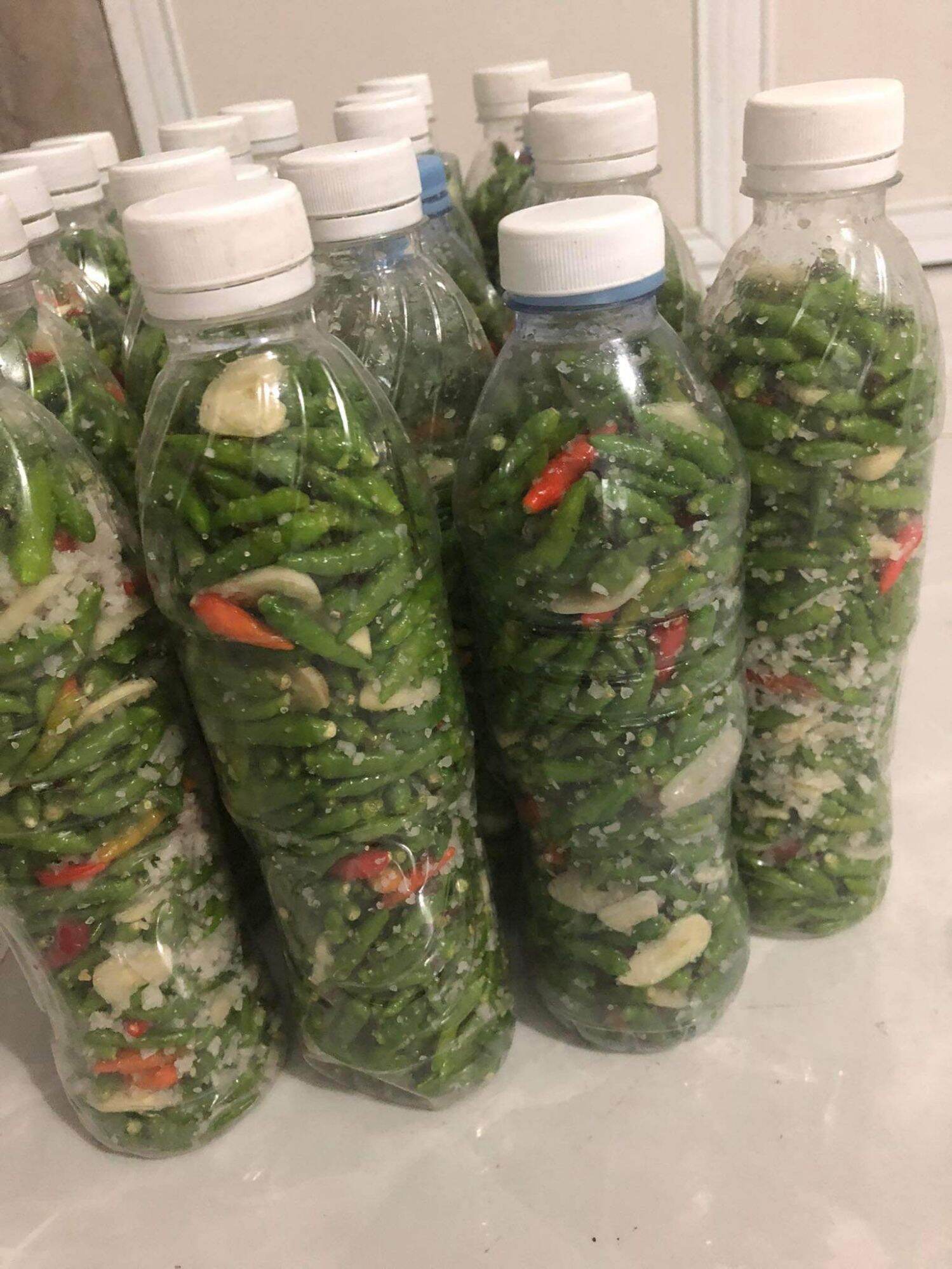Ớt thóc xanh Tây Bắc