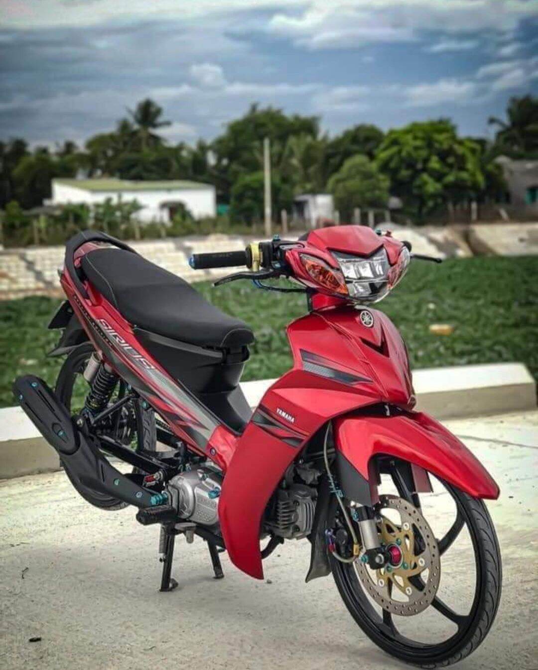 Tem rời sirius đỏ