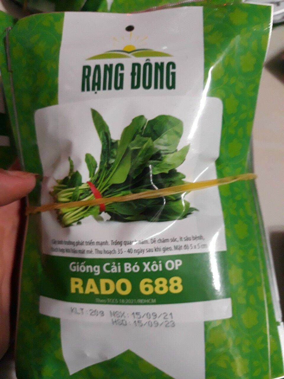 Hạt giống cải bó xôi
