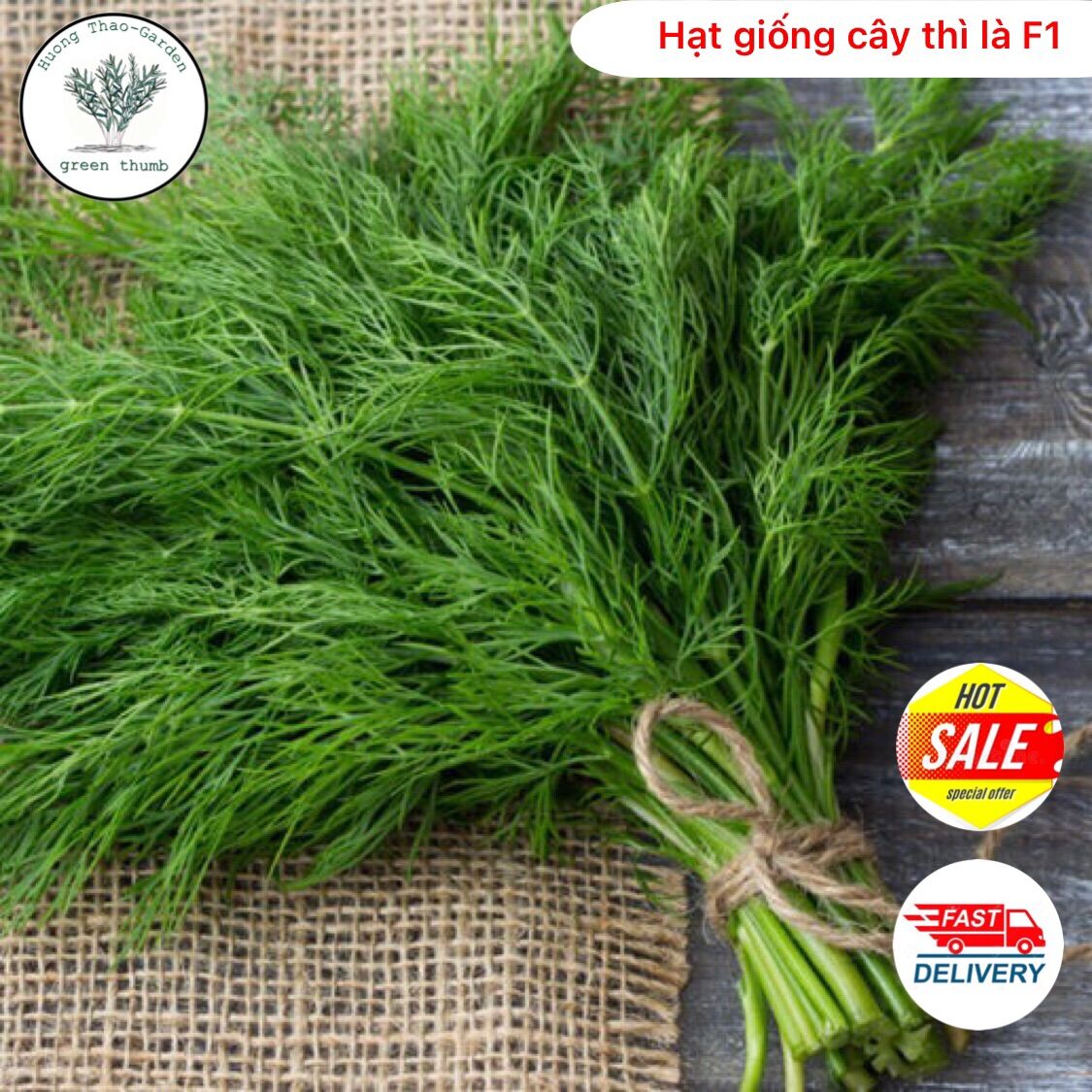 Hạt giống cây thì là f1 #caythila #hatgiongthila