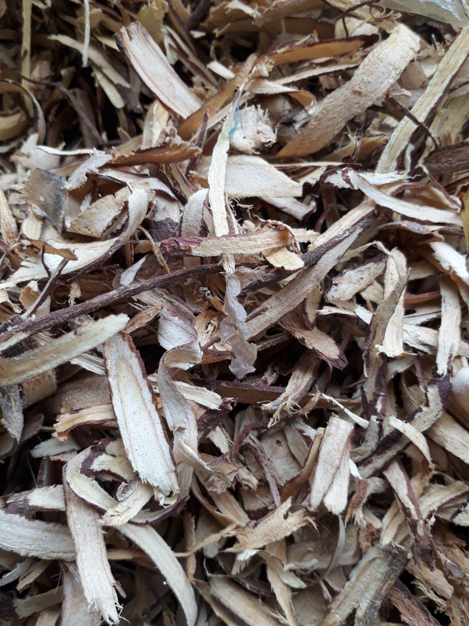 100gr Cam thảo khô