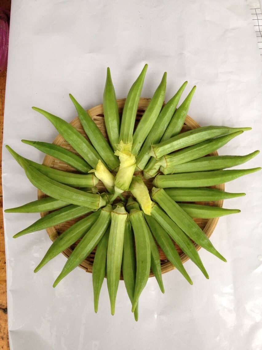 Hạt giống đậu bắp xanh