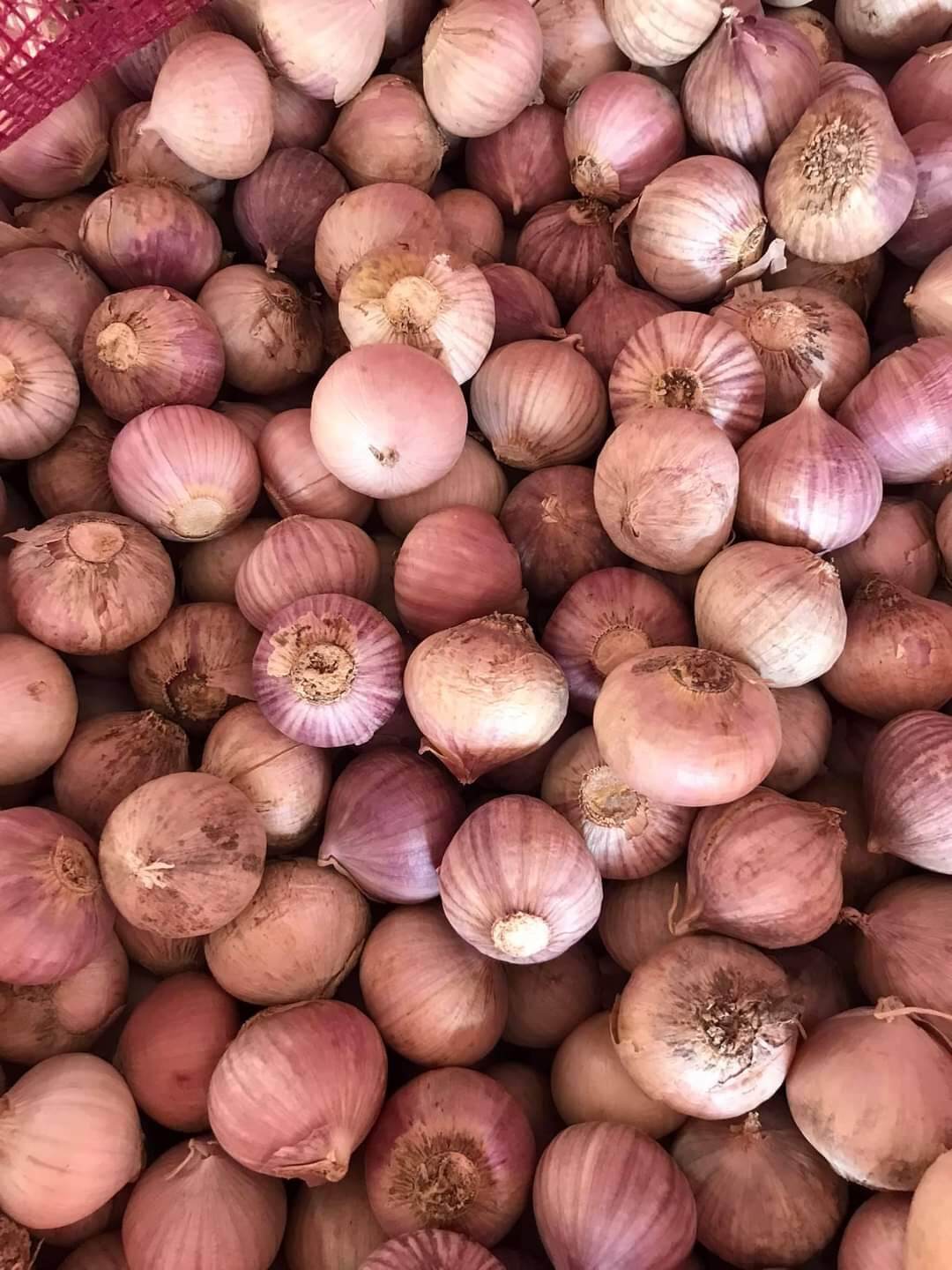 tỏi cô đơn 100k/1kg