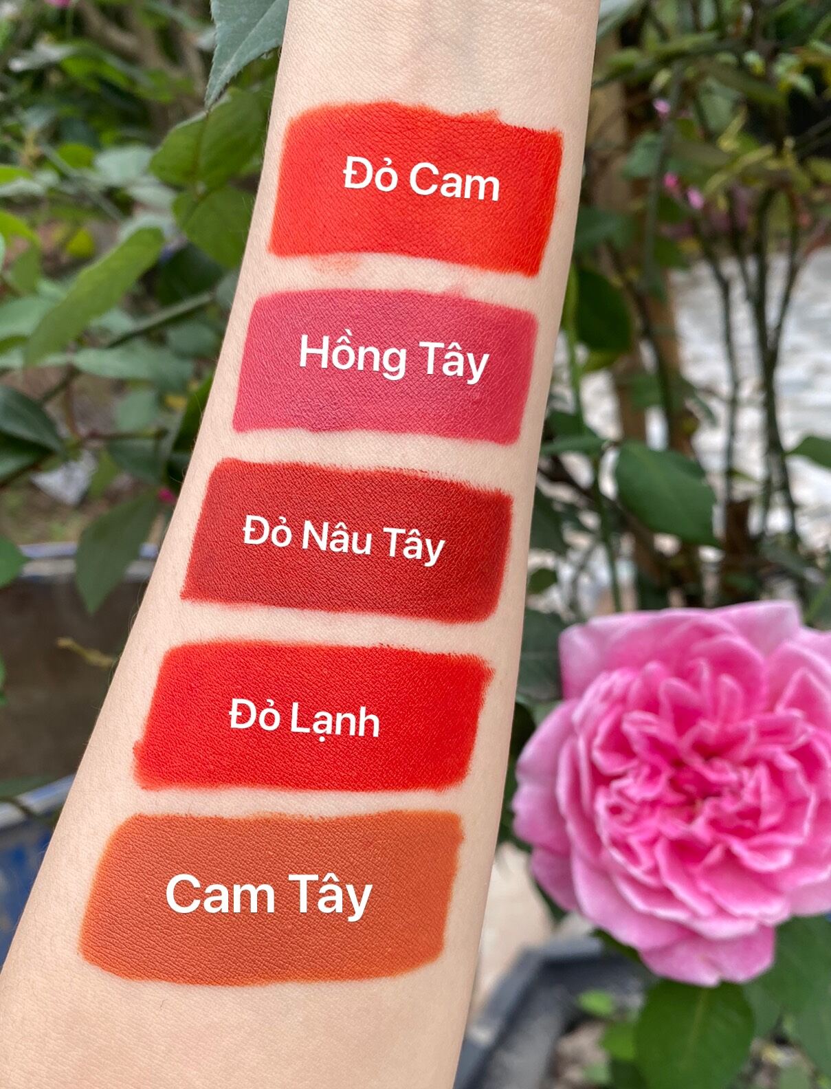 Son Kem Lì Royal Lipstick Màu Đỏ Lạnh