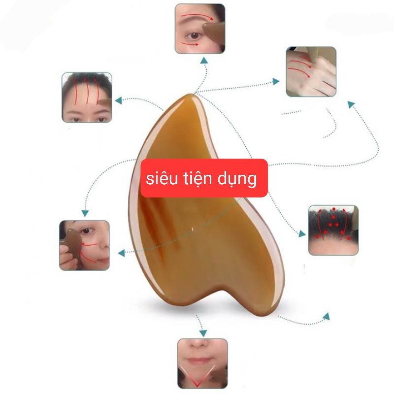 nâng cơ , cạo gió sừng trâu