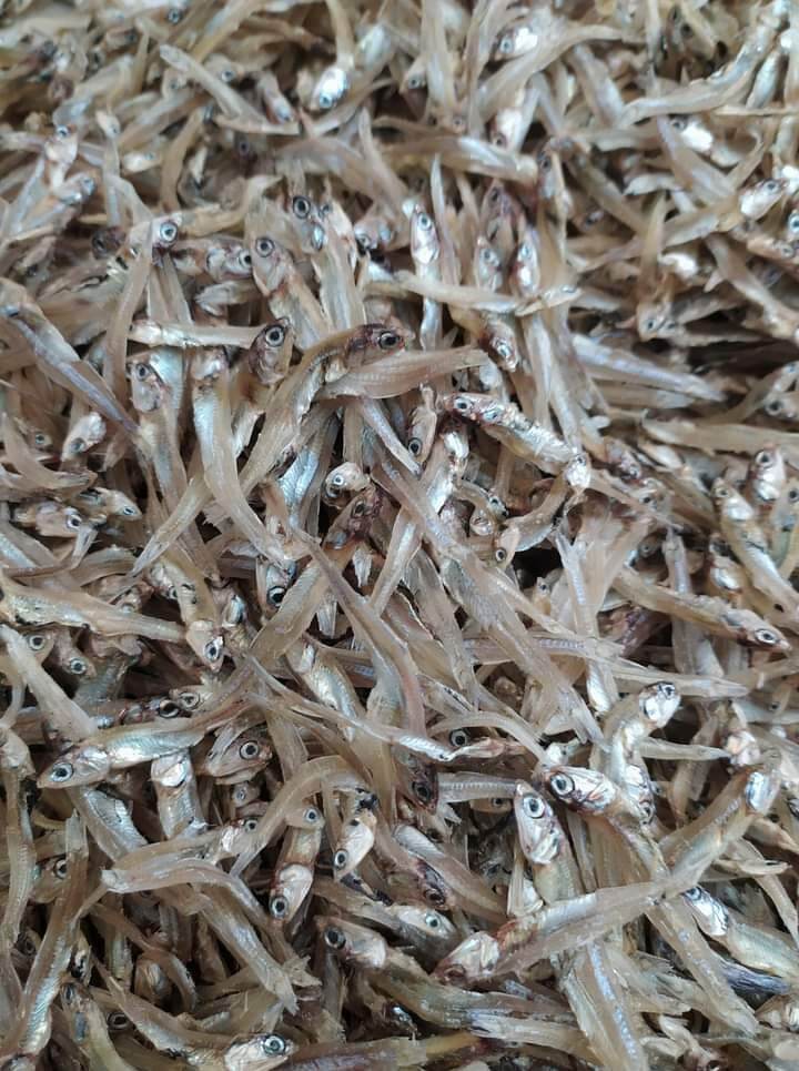 Cá cơm khô đồng tháp - 500g
