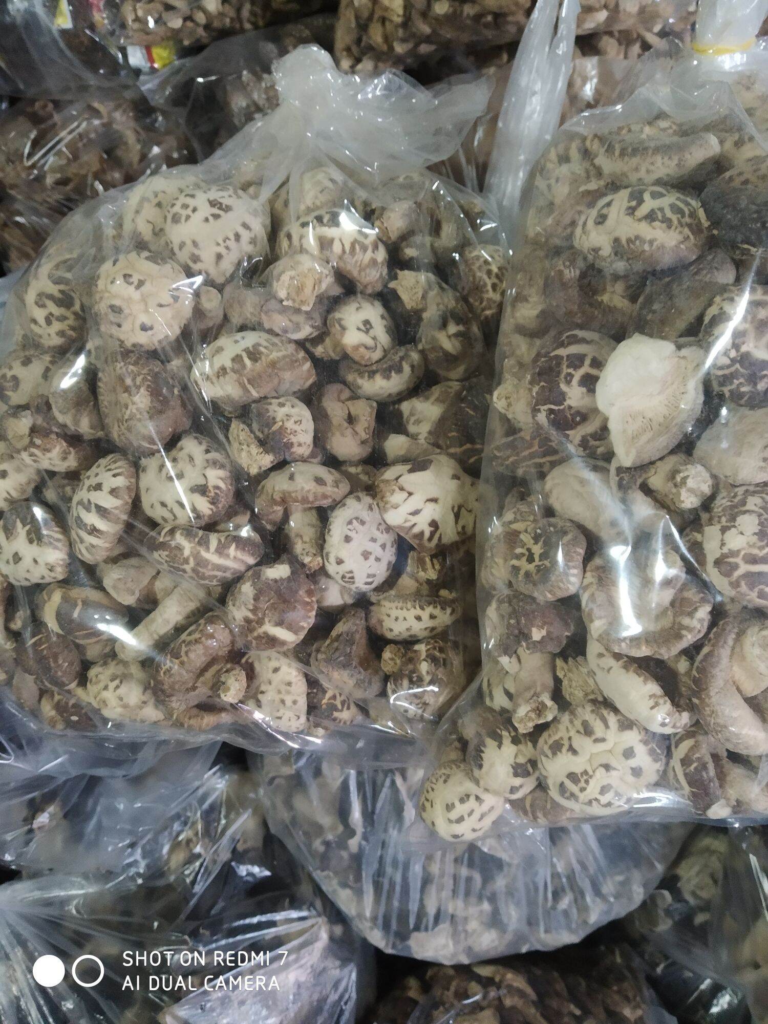 500g nấm đông cô