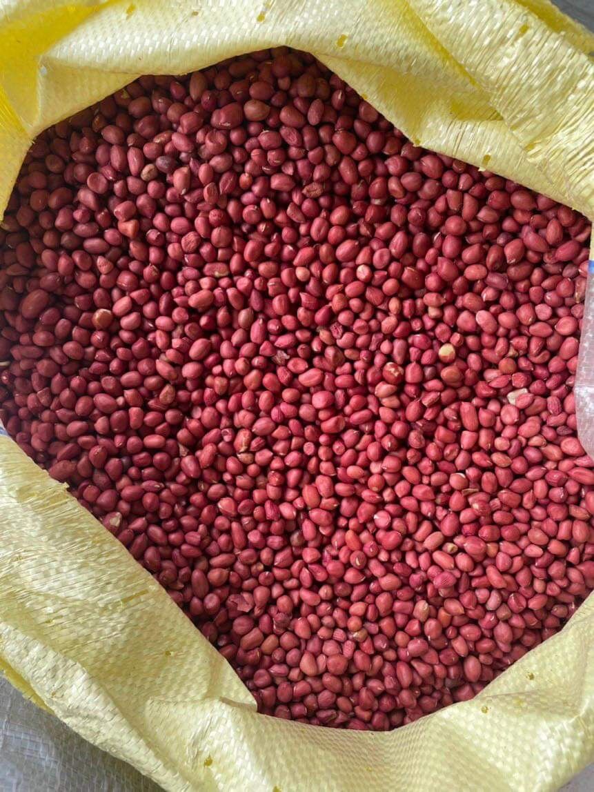0,5 KG ĐẬU PHỘNG ĐỎ ( LẠC)