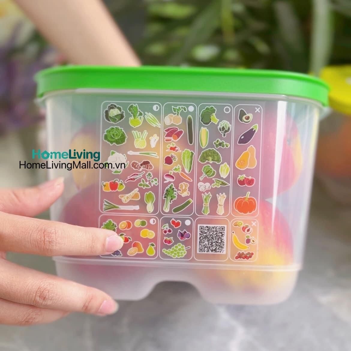 [HCM]Hộp trữ mát Vensmart 4.4L