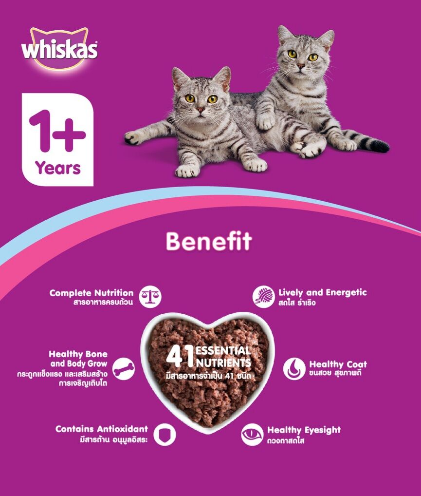 Pate Whiskas lon 400g