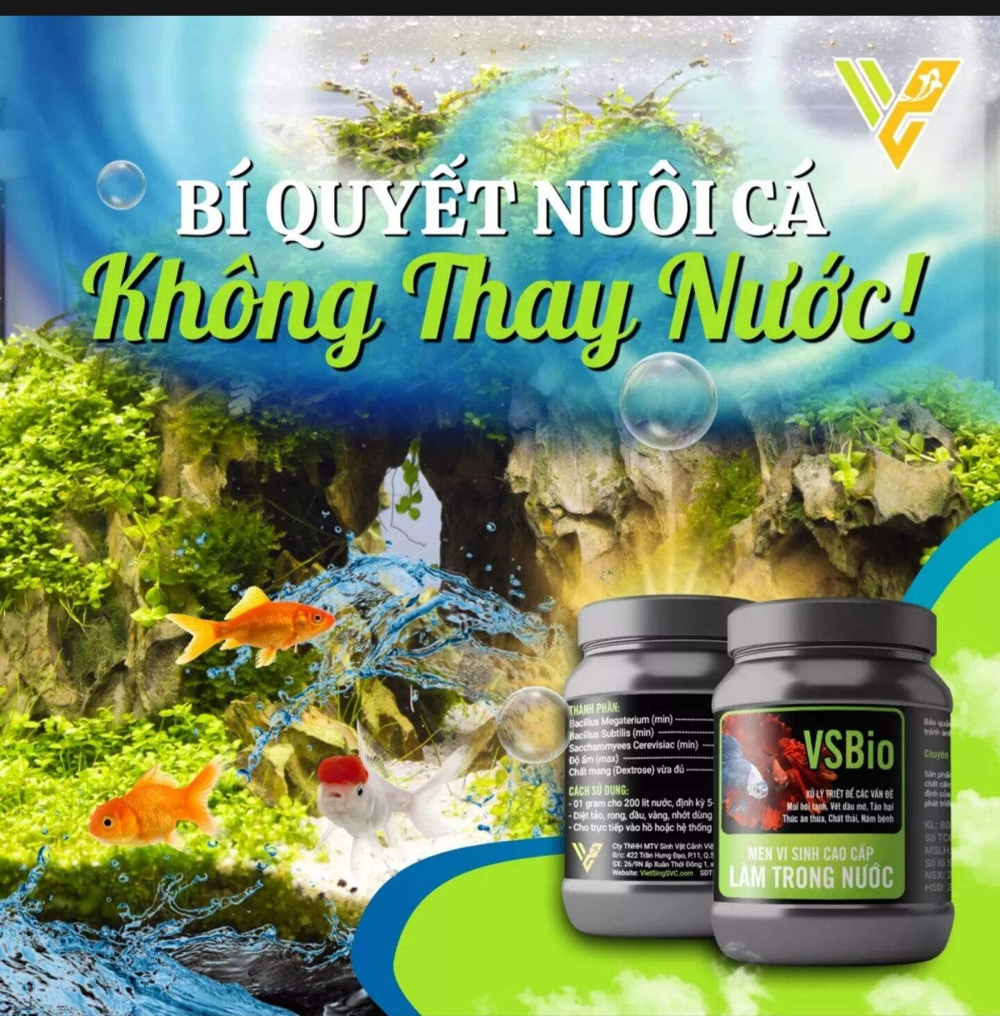 Men Vi Sinh VS Bio 80g Làm Trong Nước