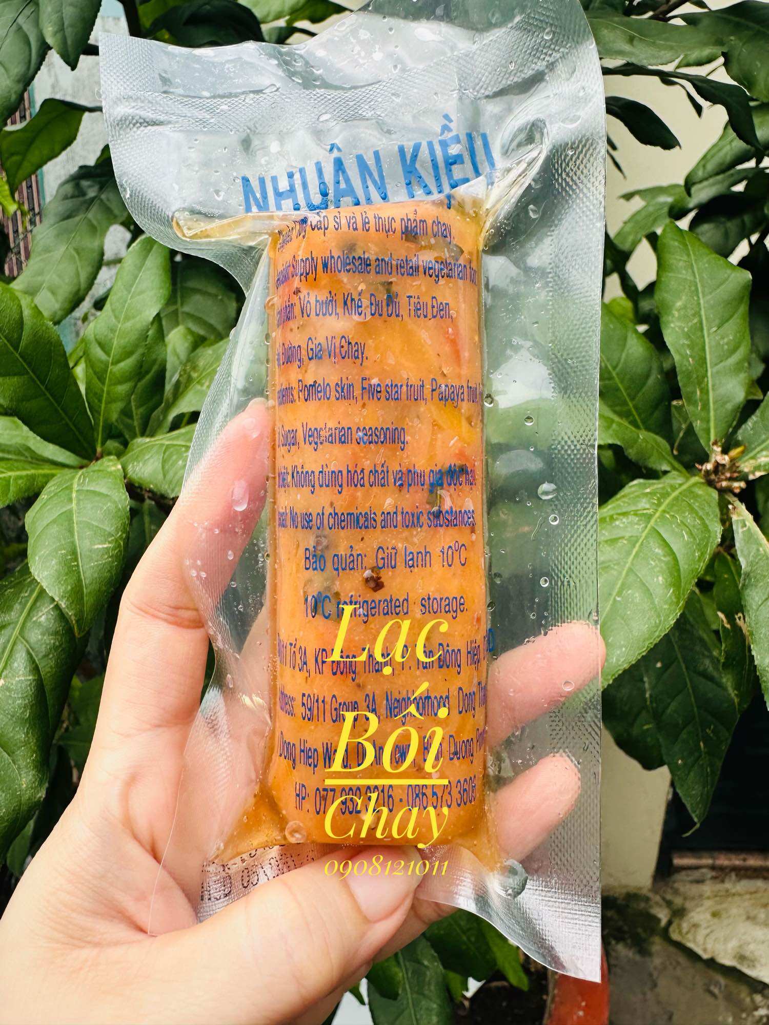 NEM CHUA TRÁI CÂY(BƯỞI,KHẾ,ĐU ĐỦ)CÂY 100g/hàng lạnh ship trong kvTPHCM