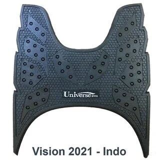Thảm lót chân vision 2014 - 2021