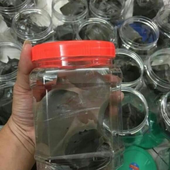Keo bẫy chim sẻ,chào mào về hộp 500gtàng hình