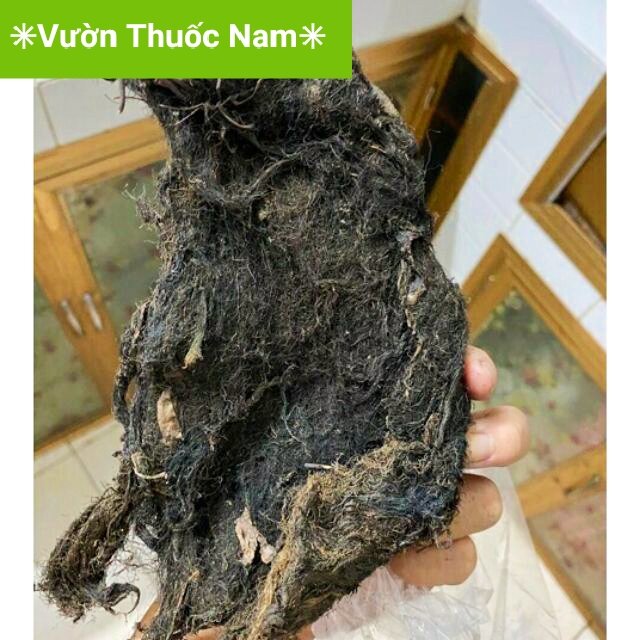 1kg rễ lục bình phơi khô dùng chiết cành rễ bèo tây phơi khô
