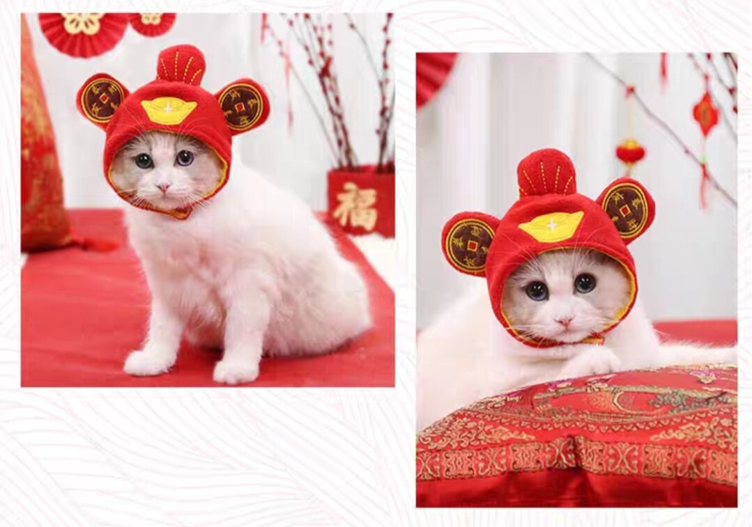 (HCM) Áo Nón Tết cho thú cưng chó mèo