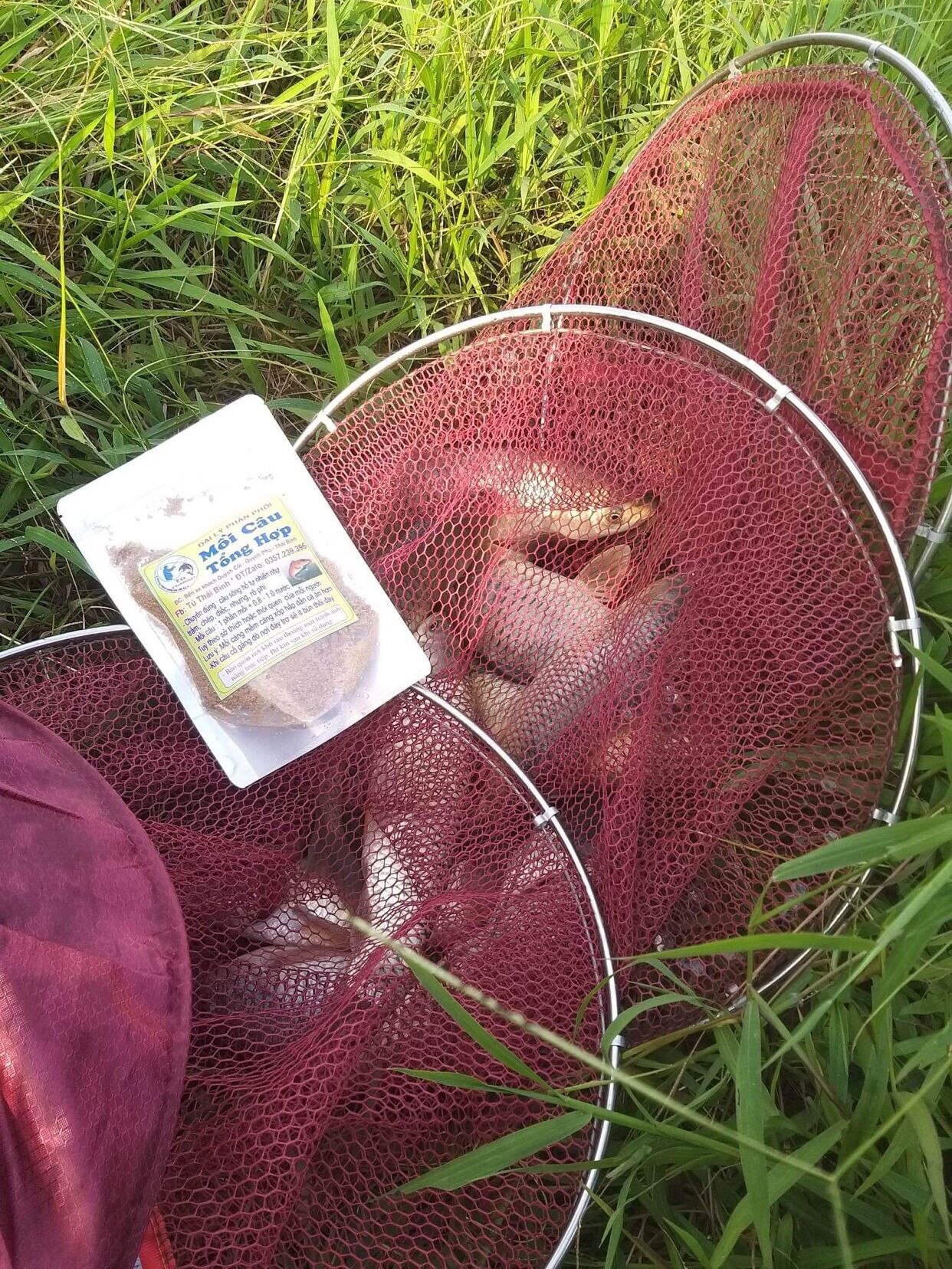 Mồi Câu Cá Tổng Hợp