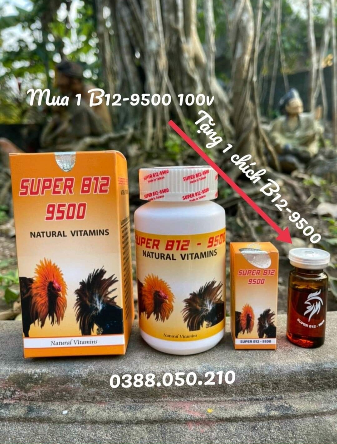 B12_9500 gom bo tuần cuối lọ 100viên