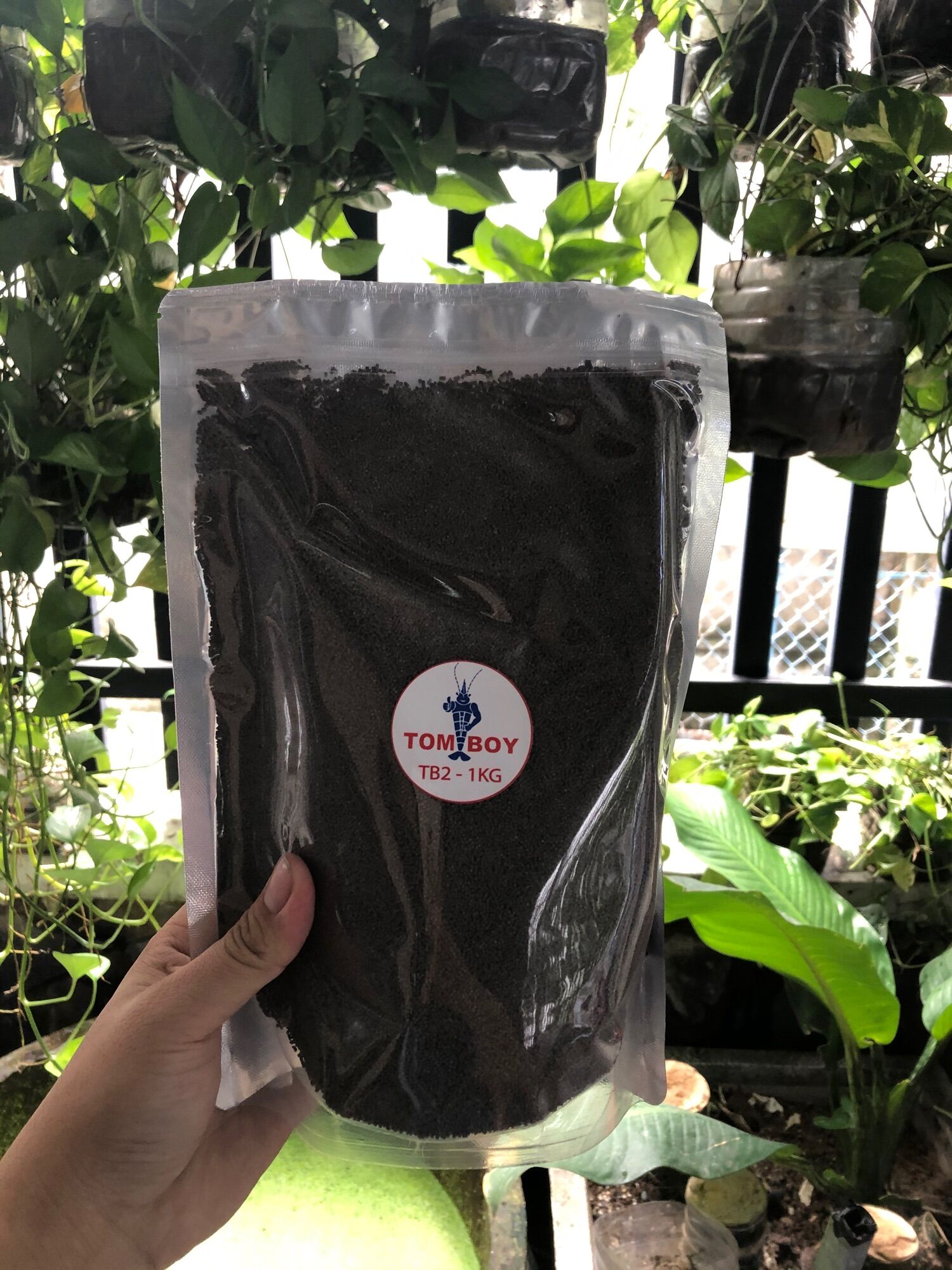 [1KG THỨC ĂN CHO CÁ] Cám tomboy Tb2 , cám cho cá size trung