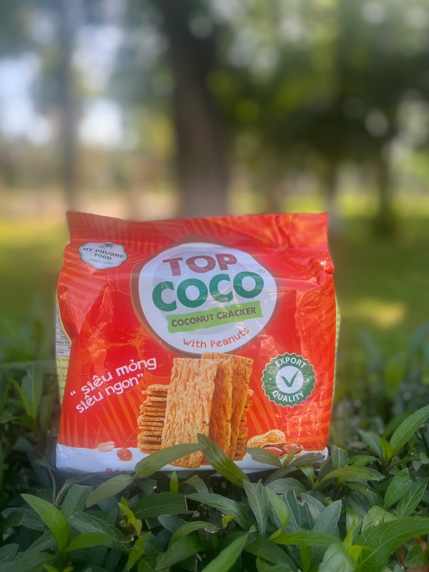 Bánh dừa nướng đậu phộng Topcoco gói 170g