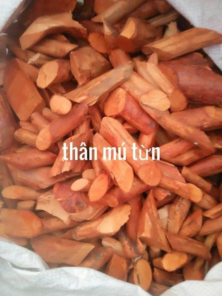 MÚ TỪN - CÙ BOONG LẬU 5KG