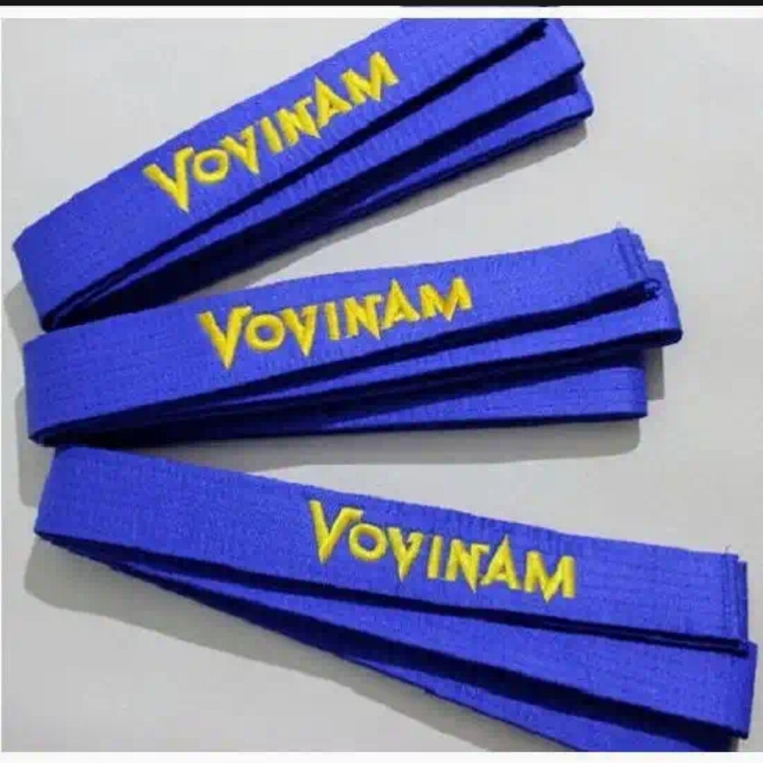 Đai Xanh Vovinam
