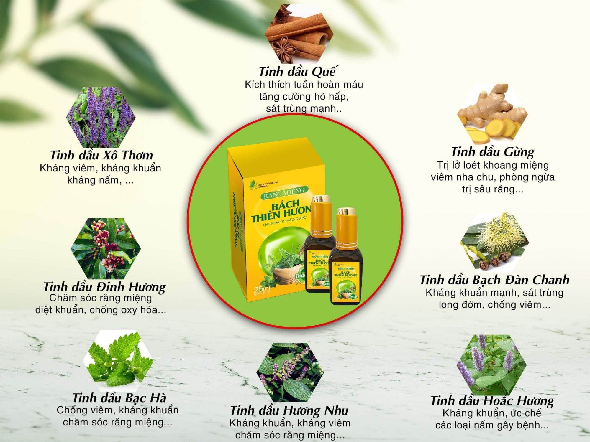 Nồi cơm điện Kuchen