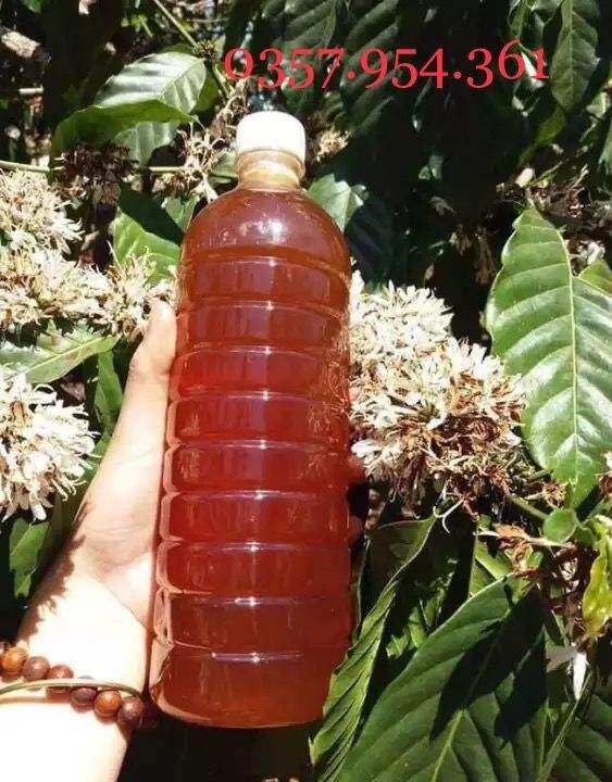 Mật ong hoa cà phê