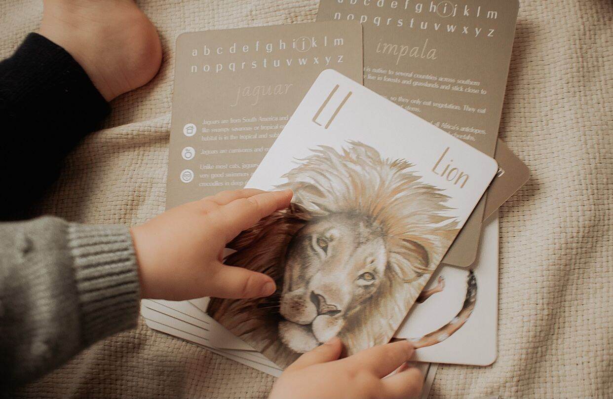 Alphabet Flash Cards - Thẻ học tiếng Anh cho bé