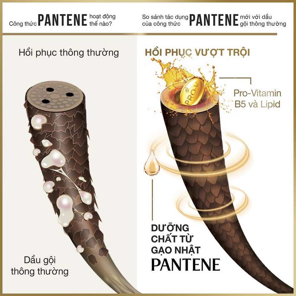 Dầu gội pantene 150ml ngăn rụng tóc