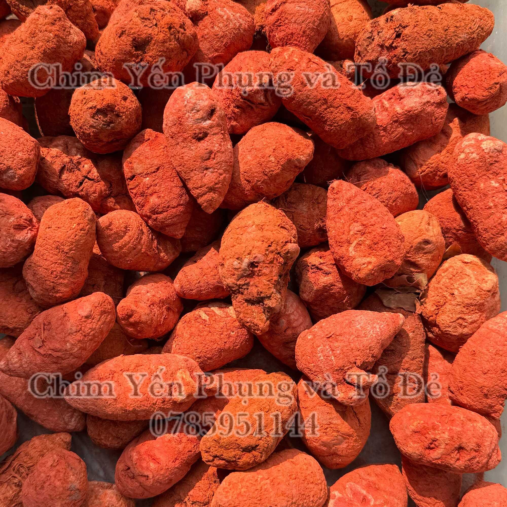 100gr Củ Nghệ đỏ cao cấp - Nghệ củ gà đá.