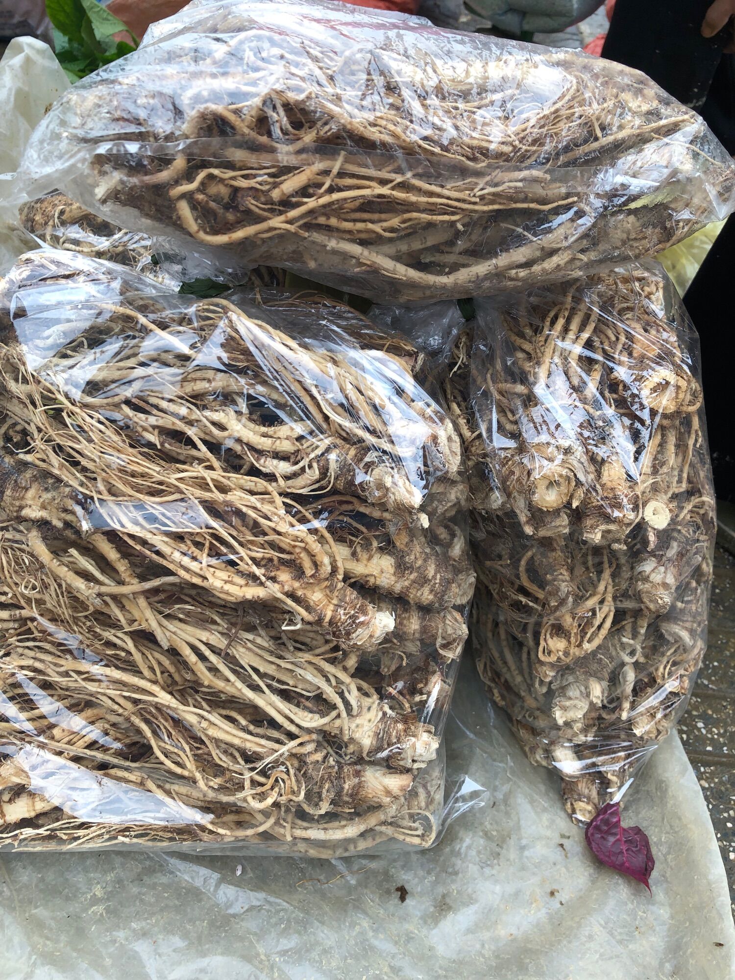 Sâm đương quy khô 165k/kg