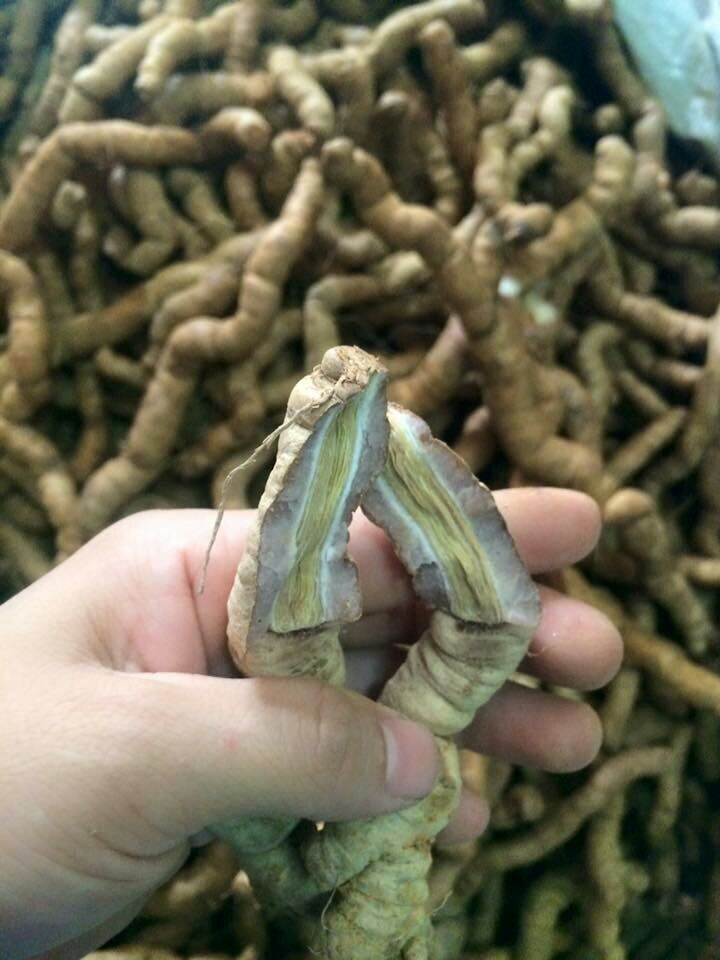 500g ba kích tươi