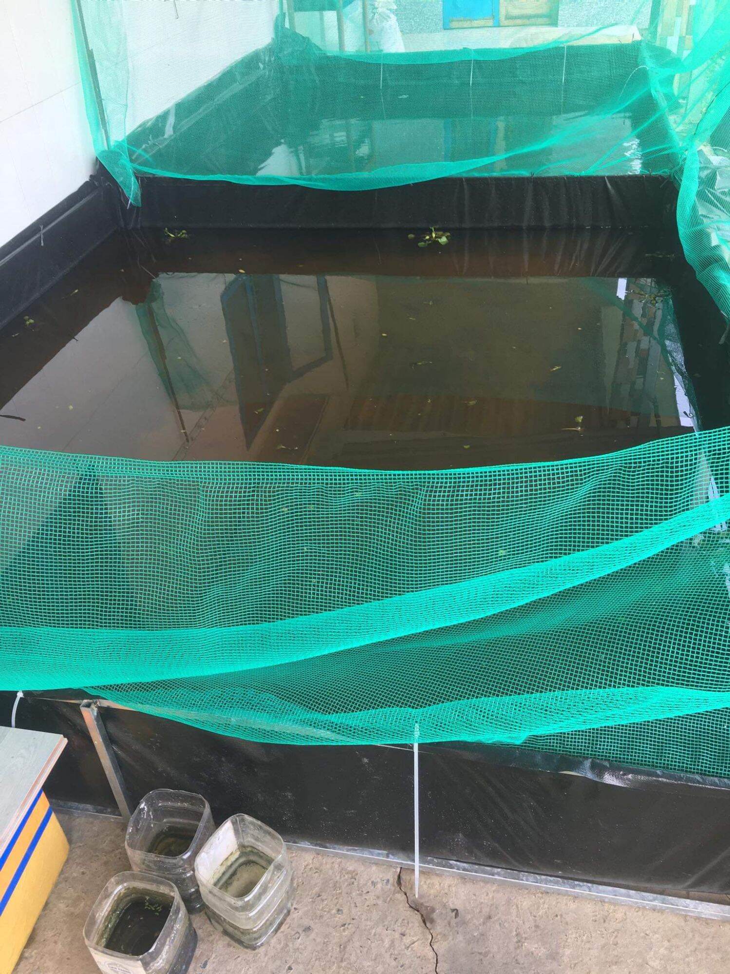 Bể bạt nuôi ốc ếch cá lươn chạch - 5x2x1 loại HDPE