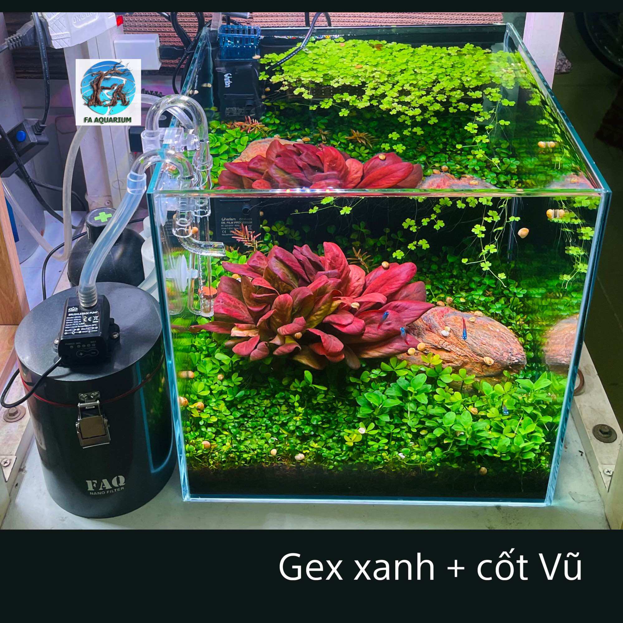 Phân nền Nhật Gex xanh 2kg cho hồ thuỷ sinh
