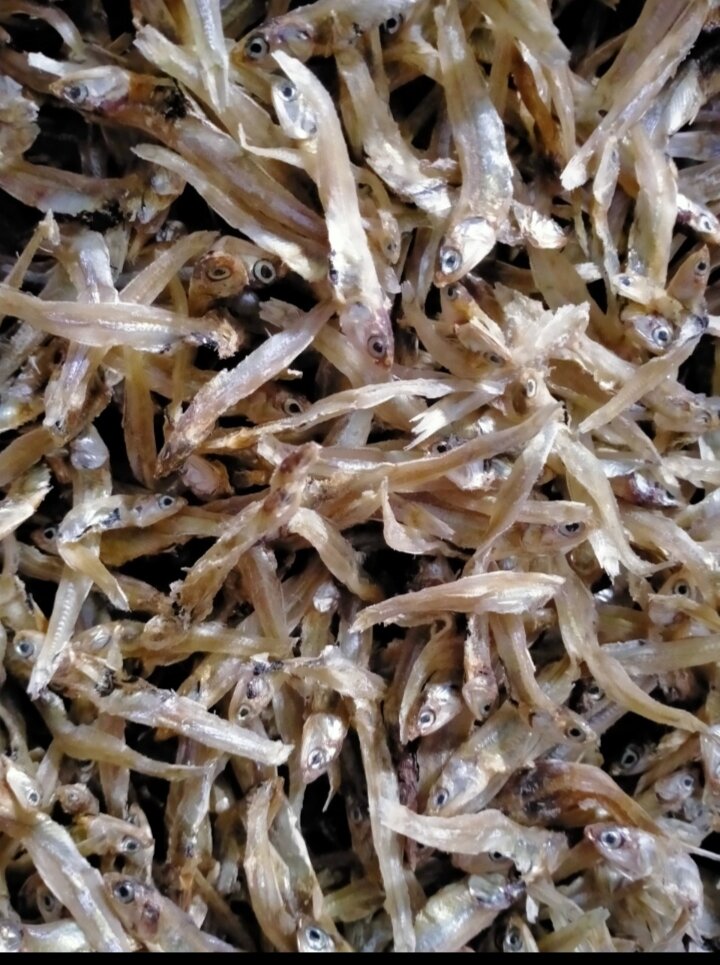 500g khô cá cơm nhạt phú quốc hàng đảm bảo thơm ngon y hình