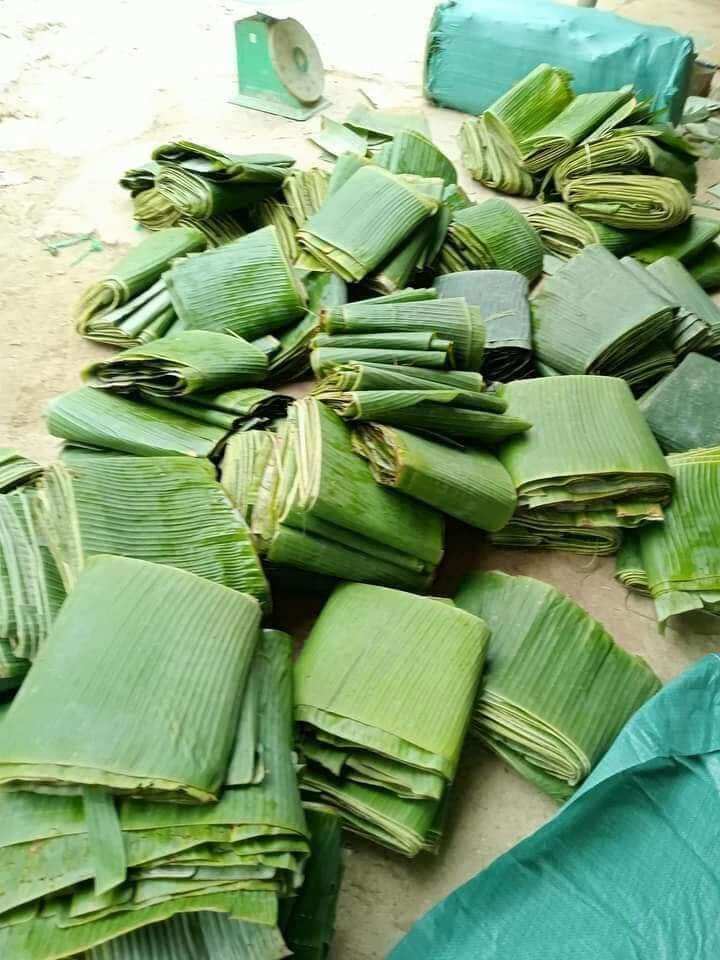 1kg lá chuối tươi về gói bánh