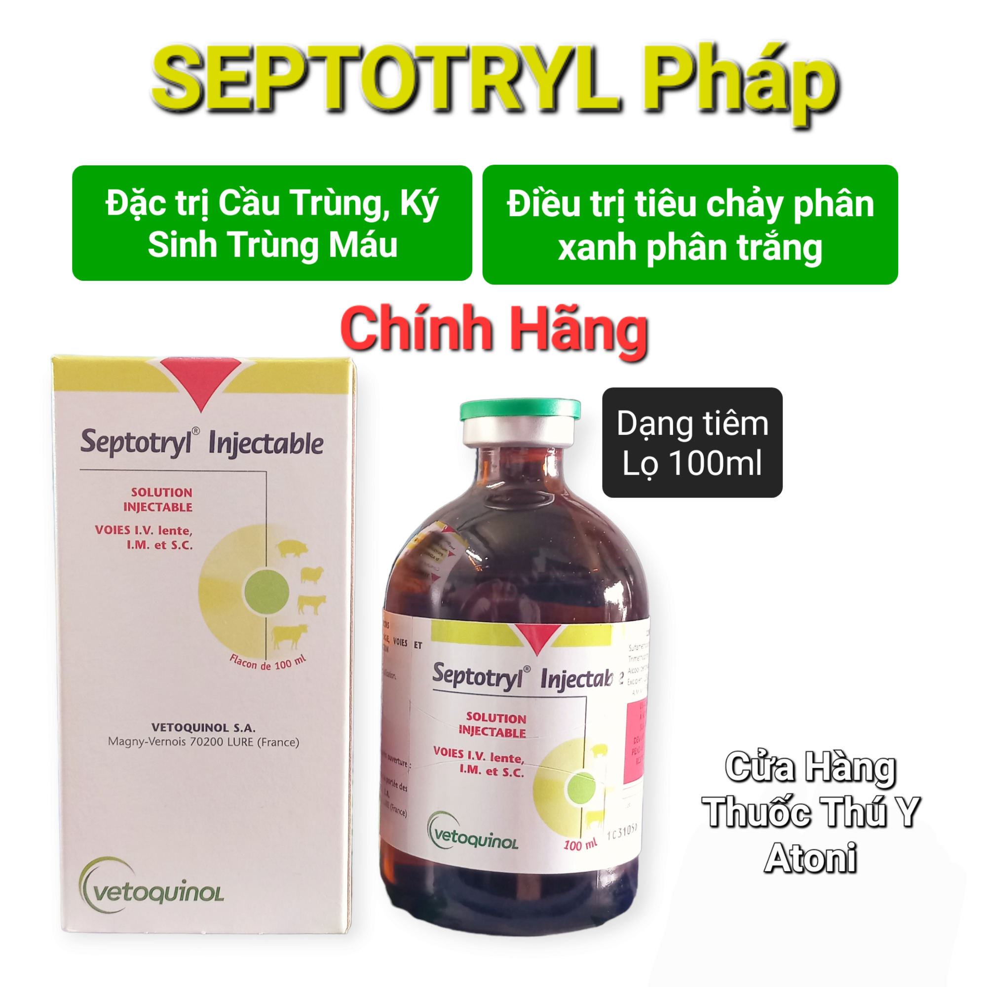 Lọ 100ml SEPTOTRYL INJECTABLE Cầu Trùng, Ký Sinh Trùng Máu Cho Gà Đá, Chim Cảnh