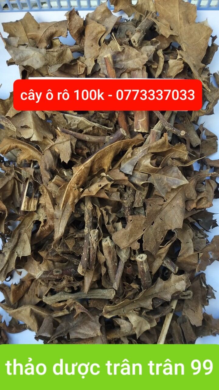 Cây ô rô phơi khô 1kg