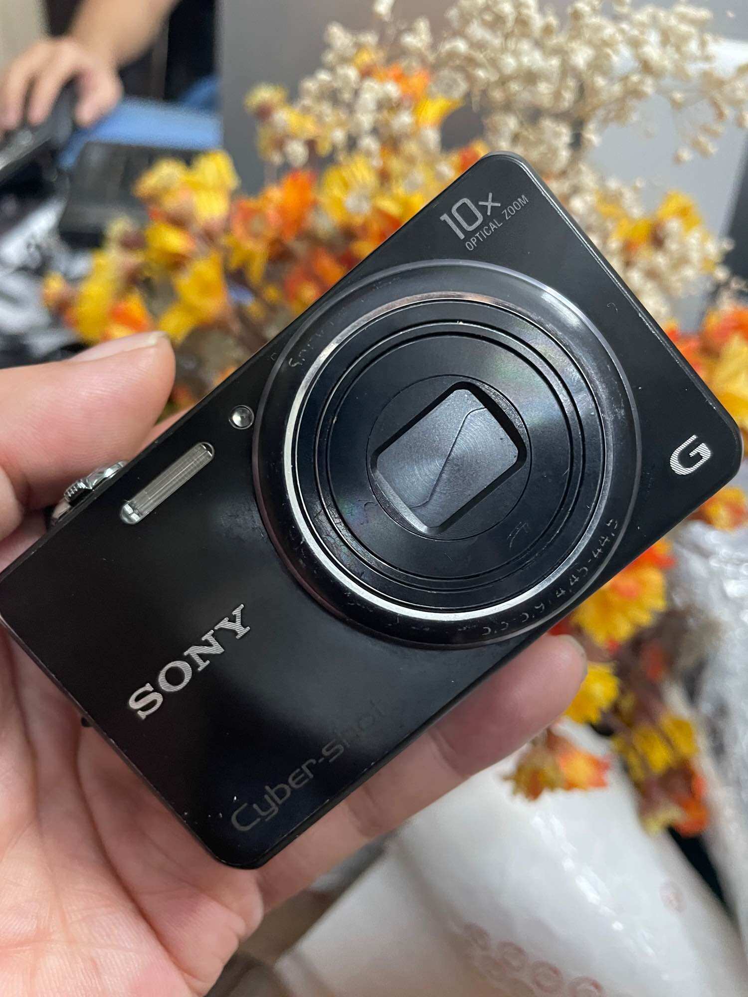 Máy ảnh Sony SyberShot WX100