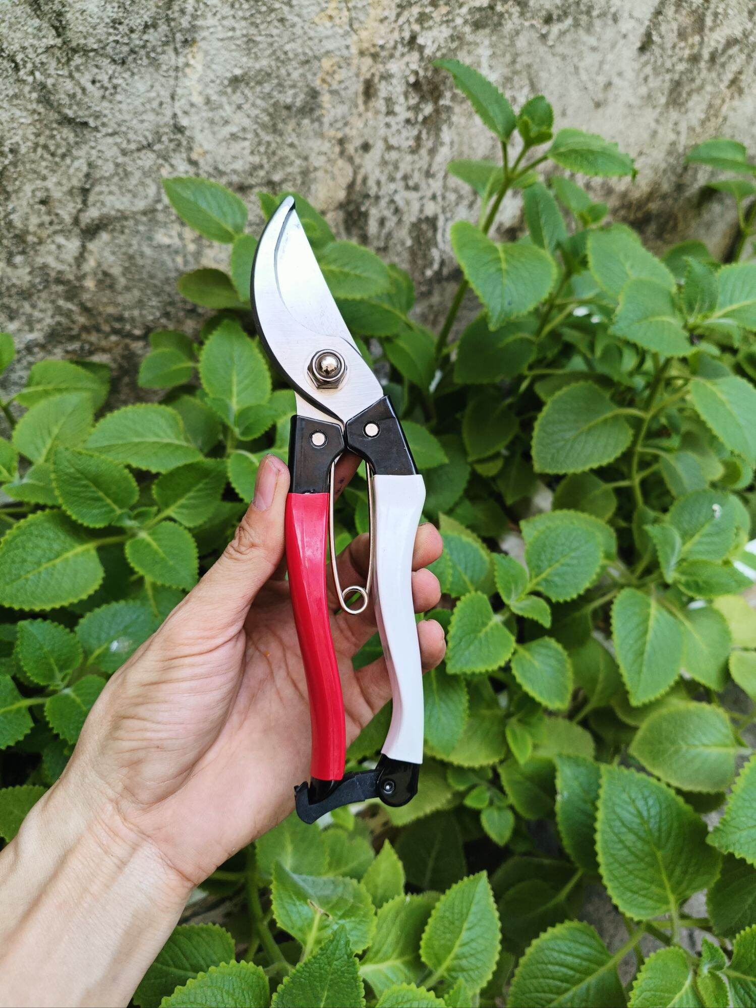 kéo cắt cành Taiwan cao cấp