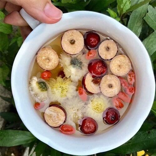 [HCM]Táo đỏ thái lát sấy khô gói 100g