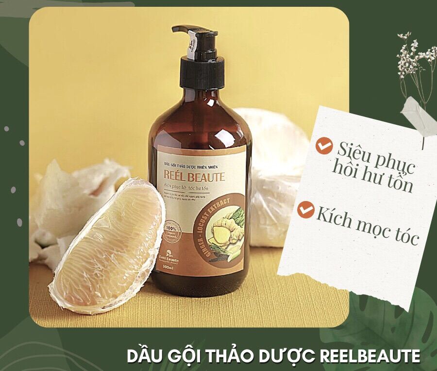 Dầu Gội Thảo Dược Reelbeaute